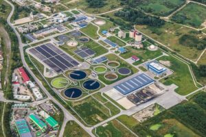 Wastewater treatment bacteria